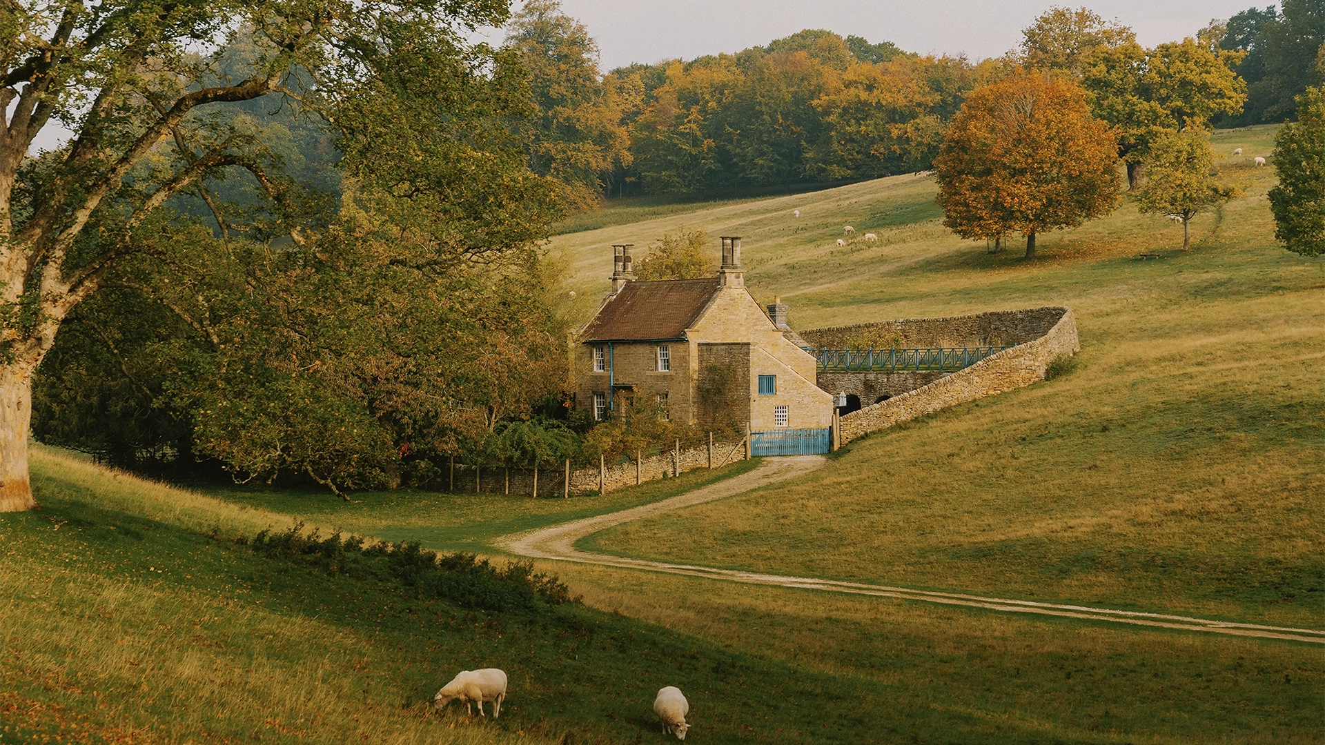 2026_AGA_Landscape_DanielCasson_HouseAutumn_Licensed.webp