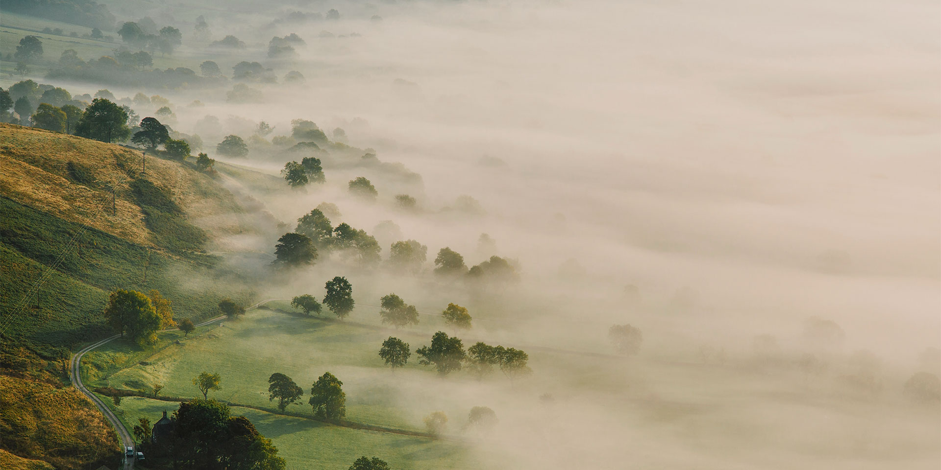 2026_AGA_Landscape_DanielCasson_FoggyField2_Licensed.jpg
