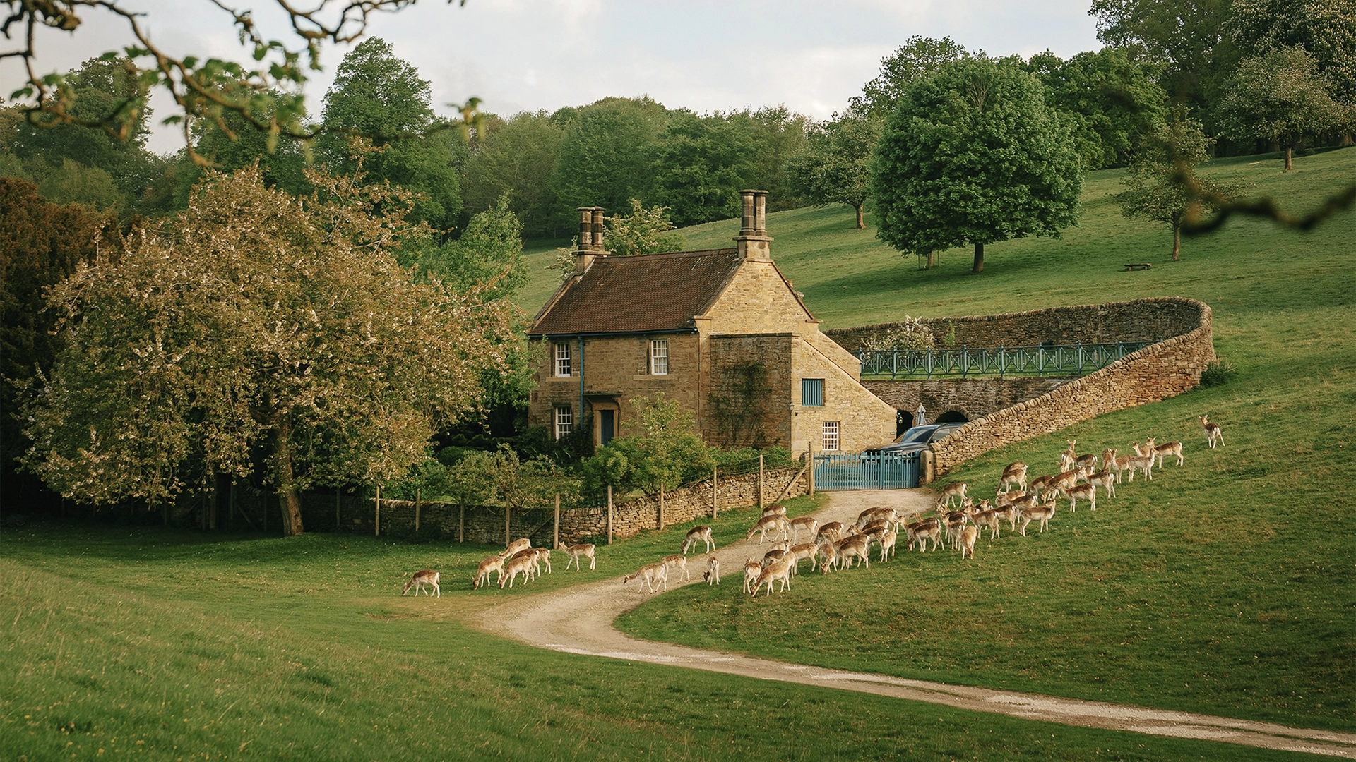 2026_AGA_Landscape_DanielCasson_HouseWithDeers_Licensed.webp