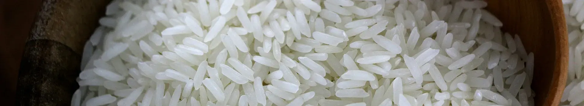 Steamed Basmati Rice