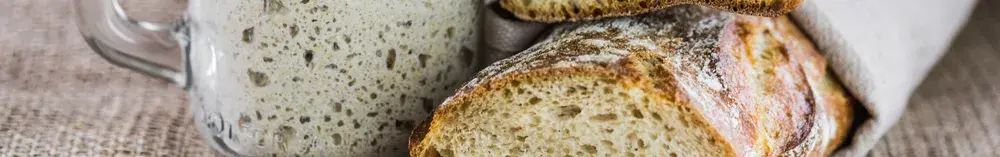 Sourdough Starter