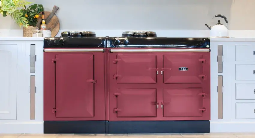AGA Raspberry Cooker with white cupboards, green plant
