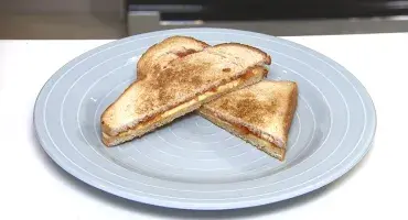 AGA toasted sandwiches 