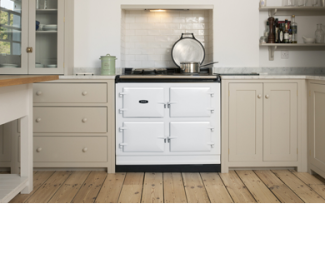 AGA Dual Control in White