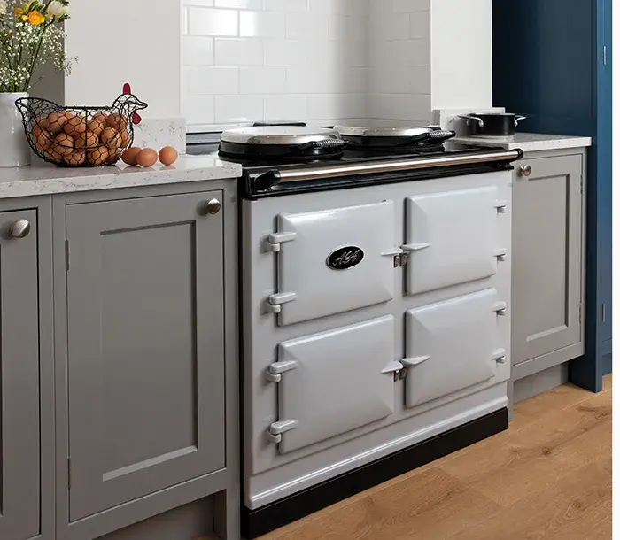AGA Dual Control in Pearl Ashes