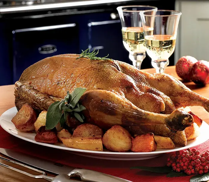 Roast goose sat in front of an AGA in Dark Blue