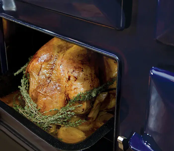 Large bird in the AGA ovens