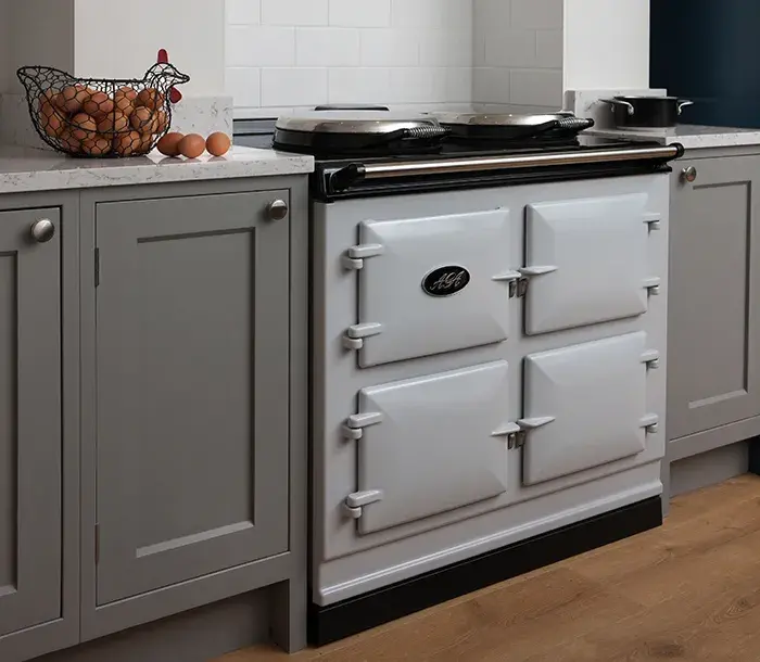 AGA Dual Control in Pearl Ashes